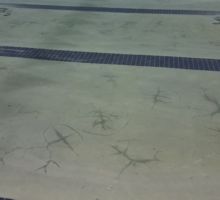 replaster pool cost