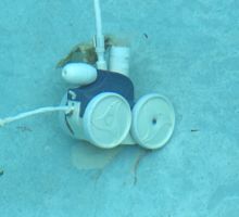 Pool Cleaner
