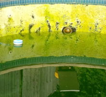 Black algae removal technique