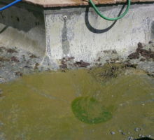 A 1 Replastering A Swamp