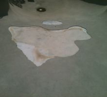 Pool Replaster