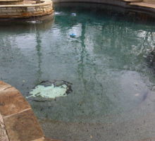 homebrew-bond-coat-failures Replaster pool