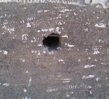 Hydro demo penetrations