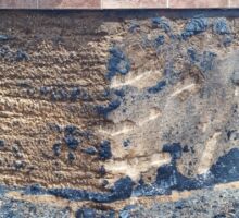 Hydro demo vs gunite