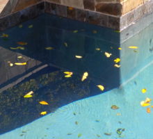 Cracked Pool Repair